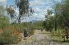 cloudy_day_0437.jpg