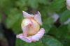 DSD_0122.jpg